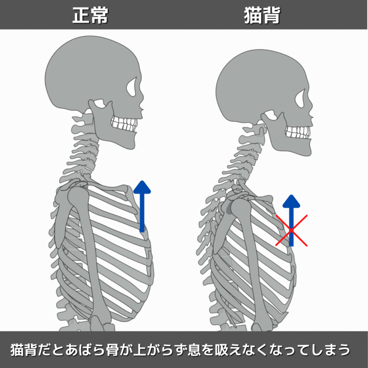 ニュース トピックス Pro Motion 整体 パーソナルトレーニング