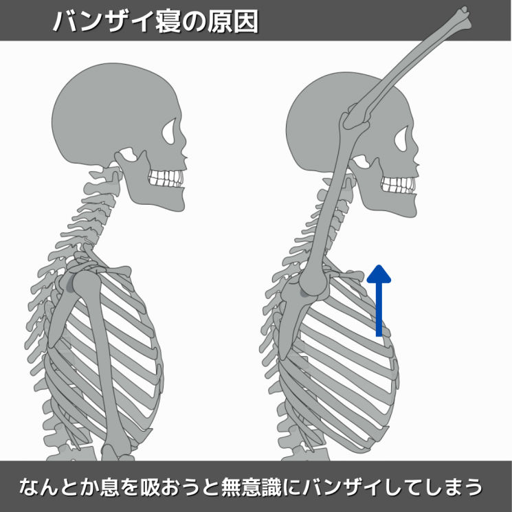 ニュース トピックス Pro Motion 整体 パーソナルトレーニング