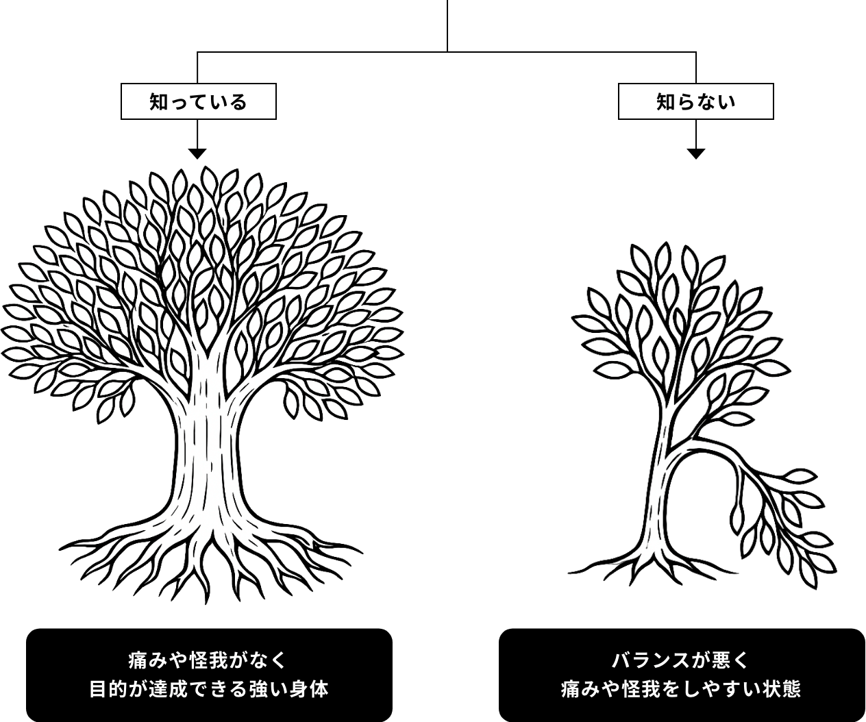 知っている場合は痛みや怪我がなく目的が達成できる強い体で、知らない場合はバランスが悪く痛みや怪我をしやすい状態のイメージ図