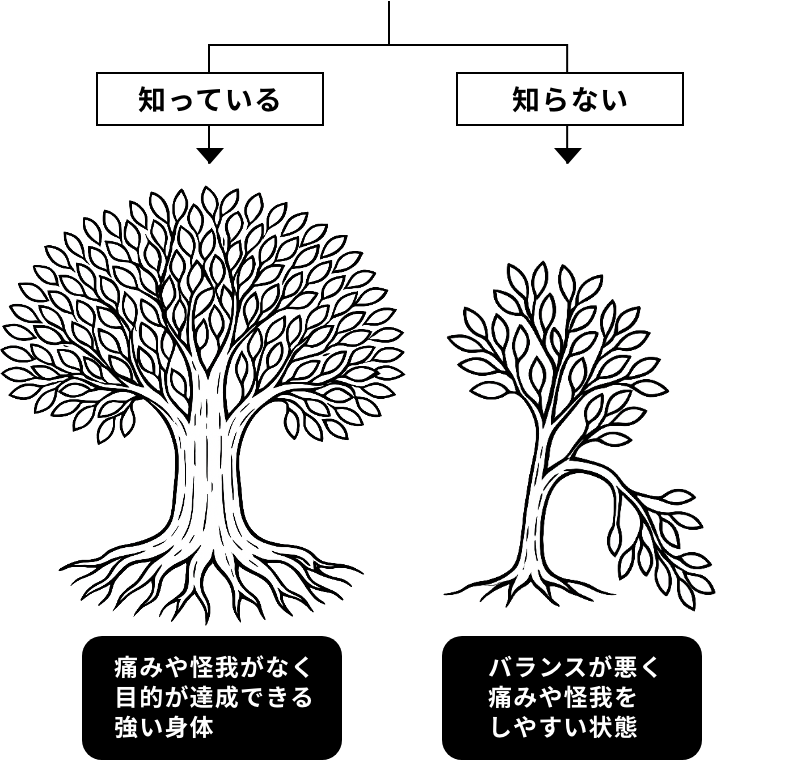 知っている場合は痛みや怪我がなく目的が達成できる強い体で、知らない場合はバランスが悪く痛みや怪我をしやすい状態のイメージ図
